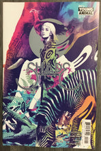 Load image into Gallery viewer, Shade: The Changeling Girl No. #12 2017 DC Comics