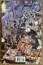Load image into Gallery viewer, Teenage Mutant Ninja Turtles Annual 2012 IDW Comics
