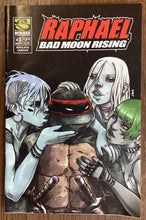 Load image into Gallery viewer, TMNT - Raphael Bad Moon Rising No. #3 2007 Mirage Publishing
