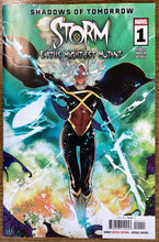 Load image into Gallery viewer, Storm: Earth's Mightiest Mutant No. #1 2026 Marvel Comics
