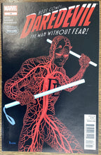 Load image into Gallery viewer, Daredevil No. #18 2012 Marvel Comics
