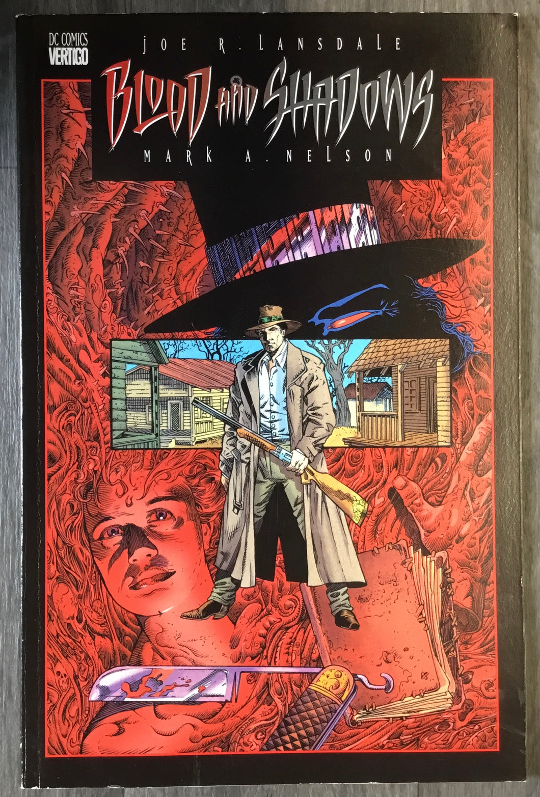 Blood and Shadows Book 1 1996 DC/Vertigo
