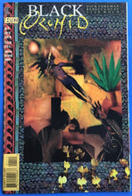 Load image into Gallery viewer, Black Orchid No. #11 1994 Vertigo Comics
